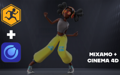 miniature de la formation